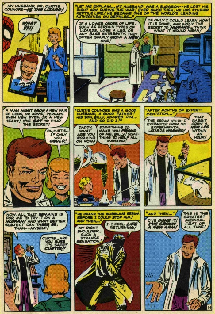 Stan Lee & Steve Ditko